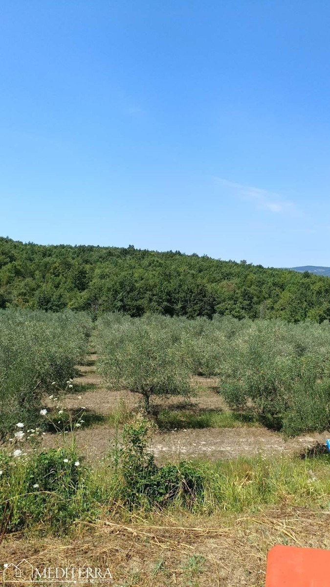 Zazidljivo zemljišče v Vižinadi, Istra