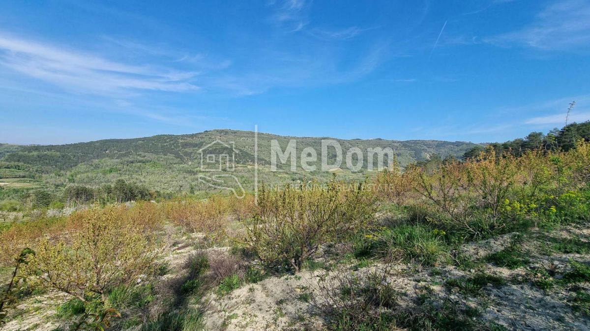 Zemljišče Kaldir, Motovun, 3.597m2