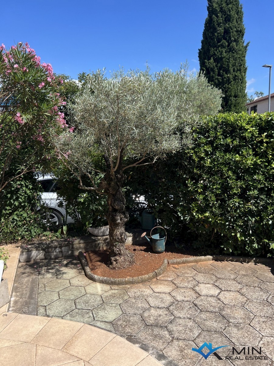 Hiša na odlični lokaciji 150 m od morja v Lovrečici