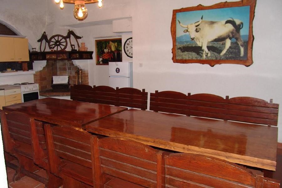 Prostorna hiša z bazenom in vrtom v Plovaniji