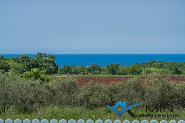 Samostojna hiša z bazenom v Novigradu