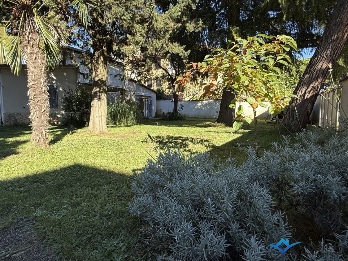 Samostojna hiša z velikim vrtom v Novigradu