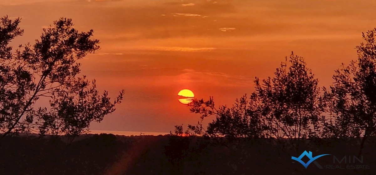 Hiša z velikim vrtom v okolici Umaga - Umag