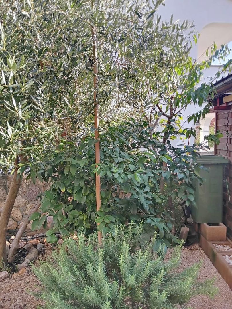 Krk, opremljen apartma z vrtom, PRODAJA!