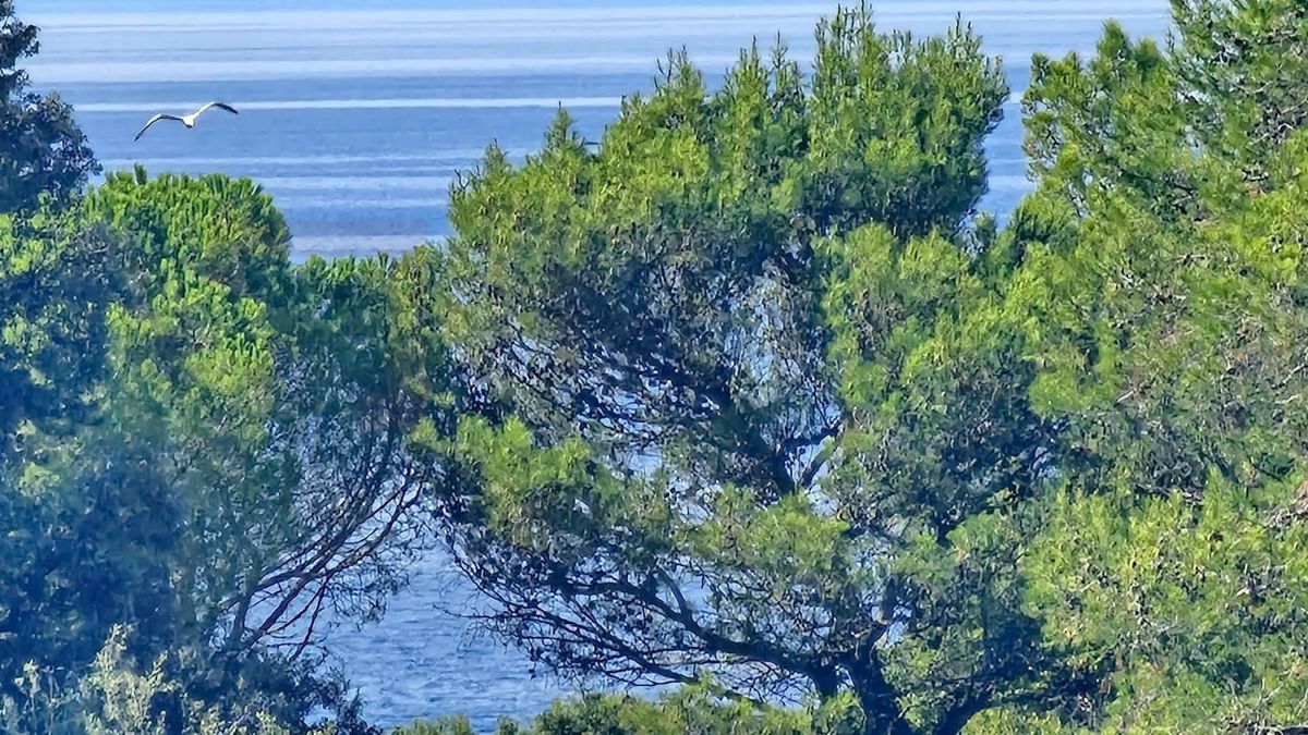 Malinska, udobno stanovanje v bližini plaže, NAPRODAJ!