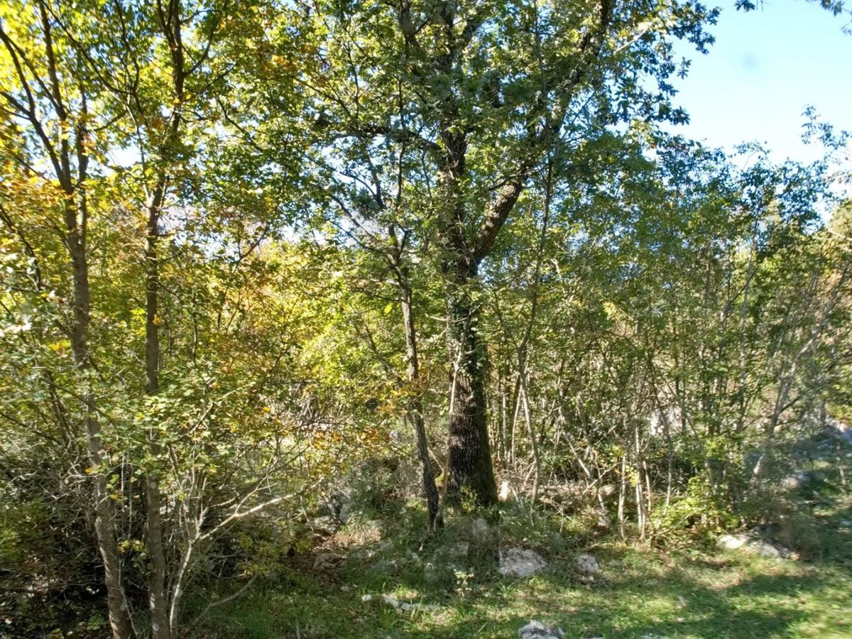 Dobrinj, Kras, dve kmetijski parceli v bližini gradbenega območja!