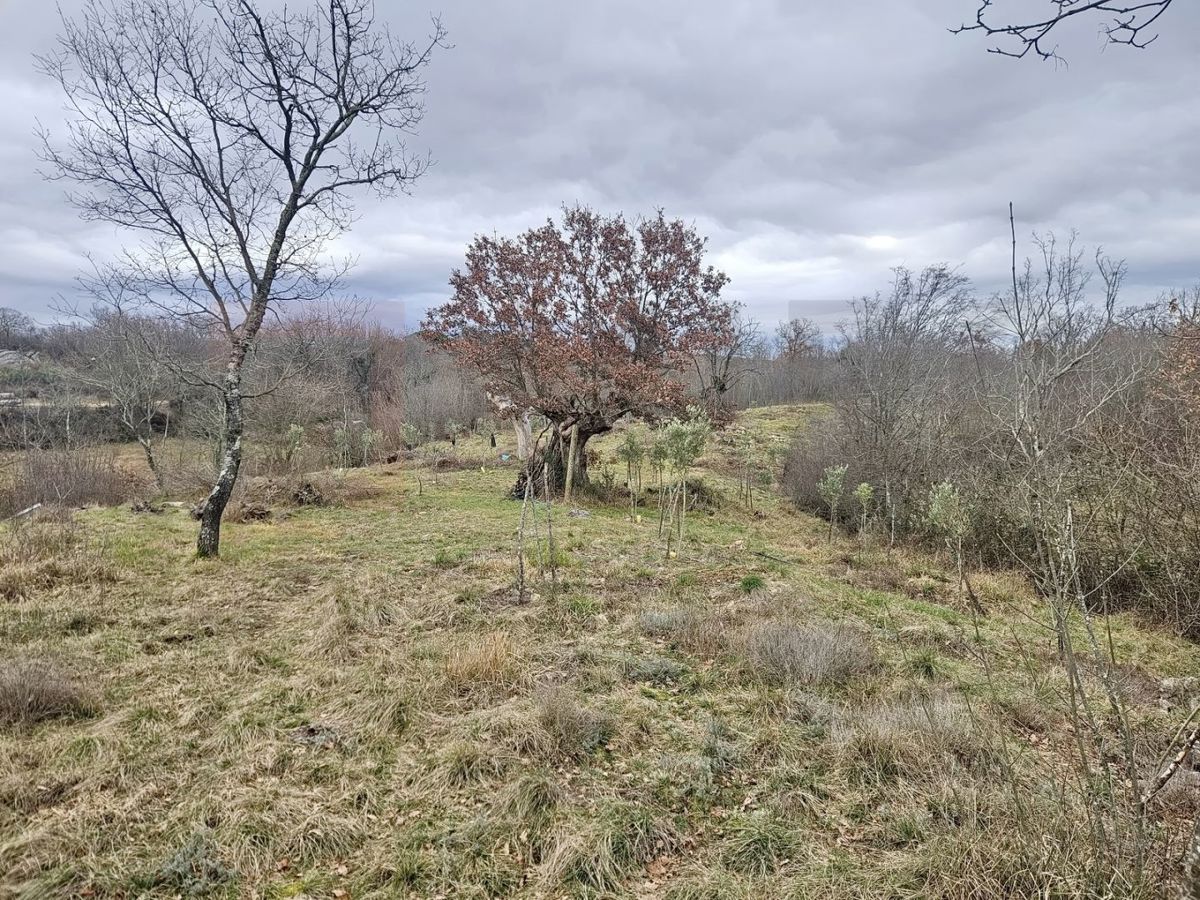 Krk, Poljica, kmetijsko zemljišče z dostopno cesto!