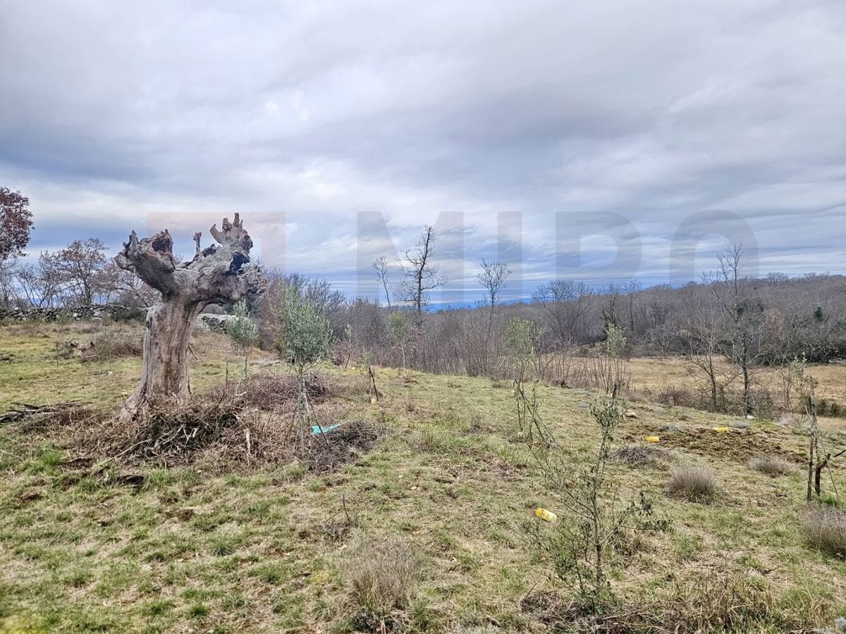 Krk, Poljica, kmetijsko zemljišče z dostopno cesto!
