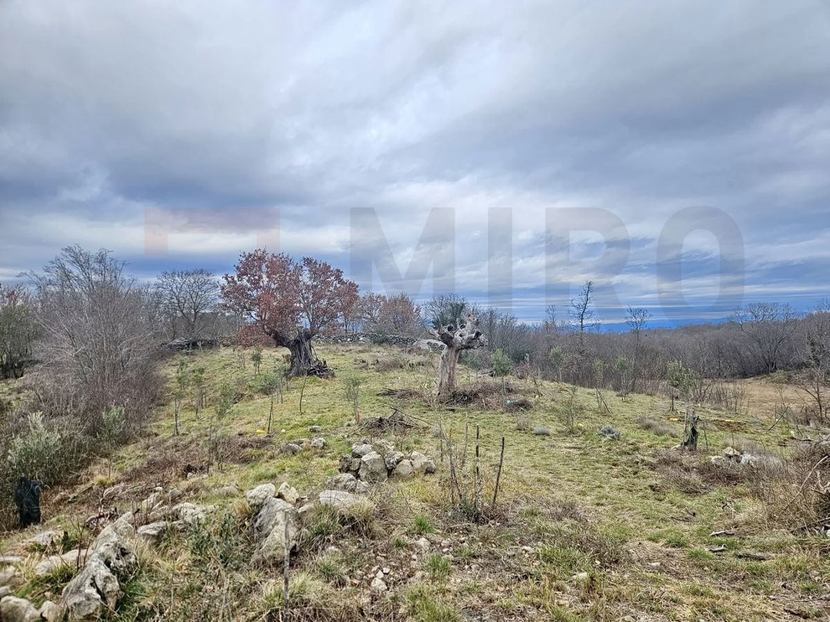 Krk, Poljica, kmetijsko zemljišče z dostopno cesto!