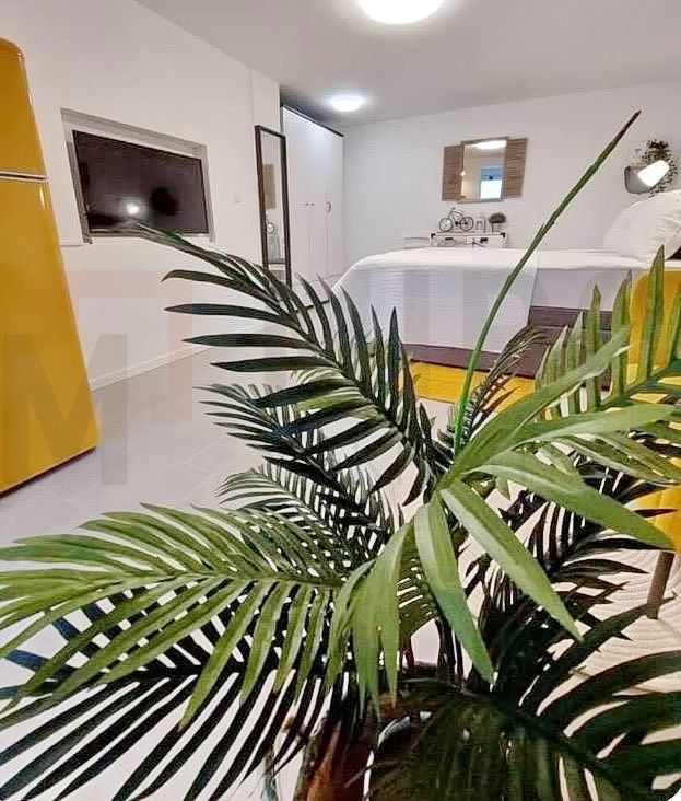 Mesto Krk, opremljeno stanovanje v kleti z vrtom!