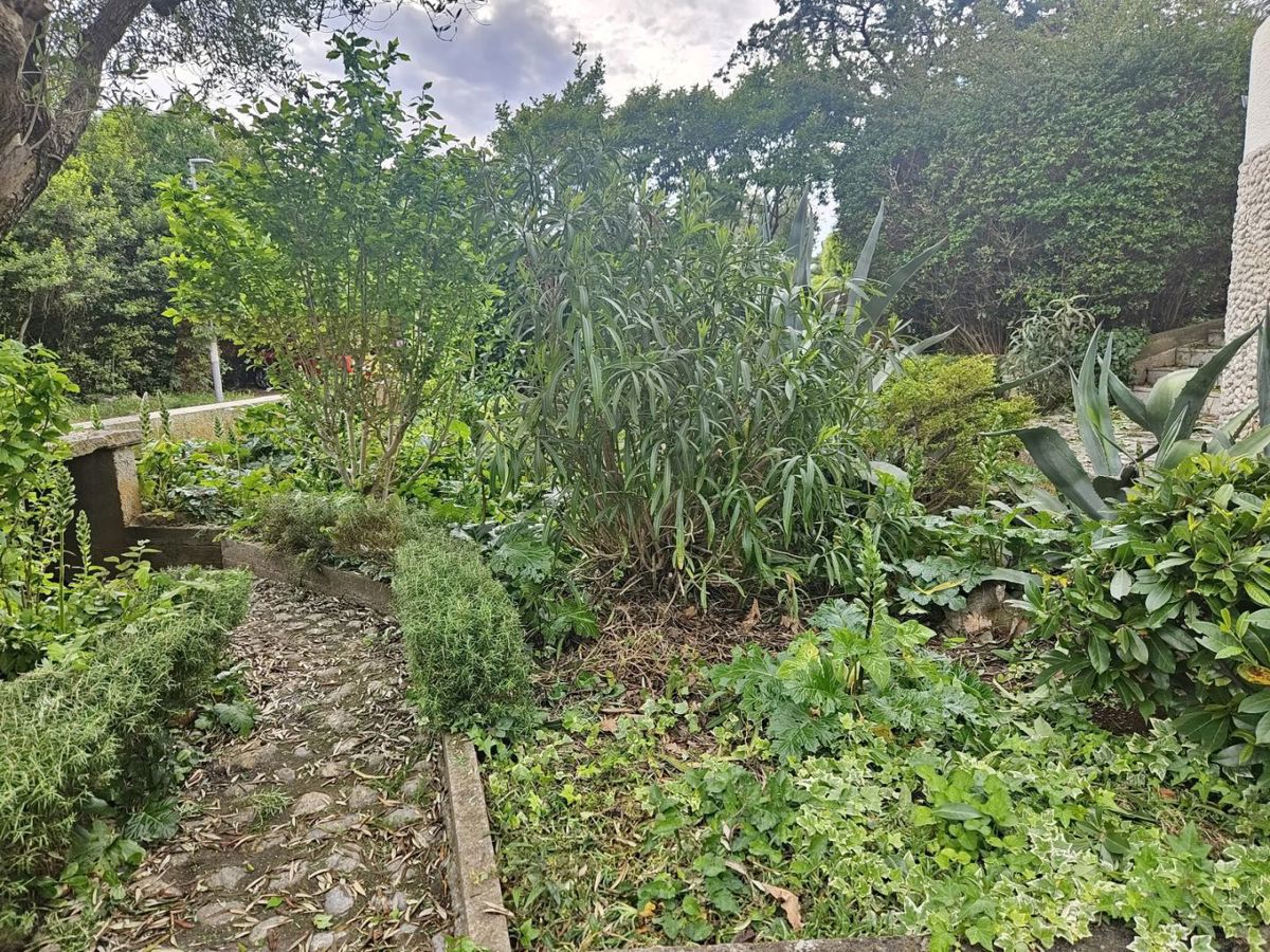 Mesto Krk, samostojna hiša s 3 apartmaji 100 m od morja!