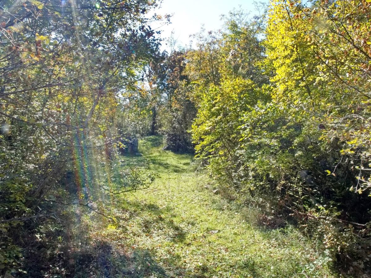 Dobrinj, Kras, kmetijsko zemljišče, blizu gradbenega območja!