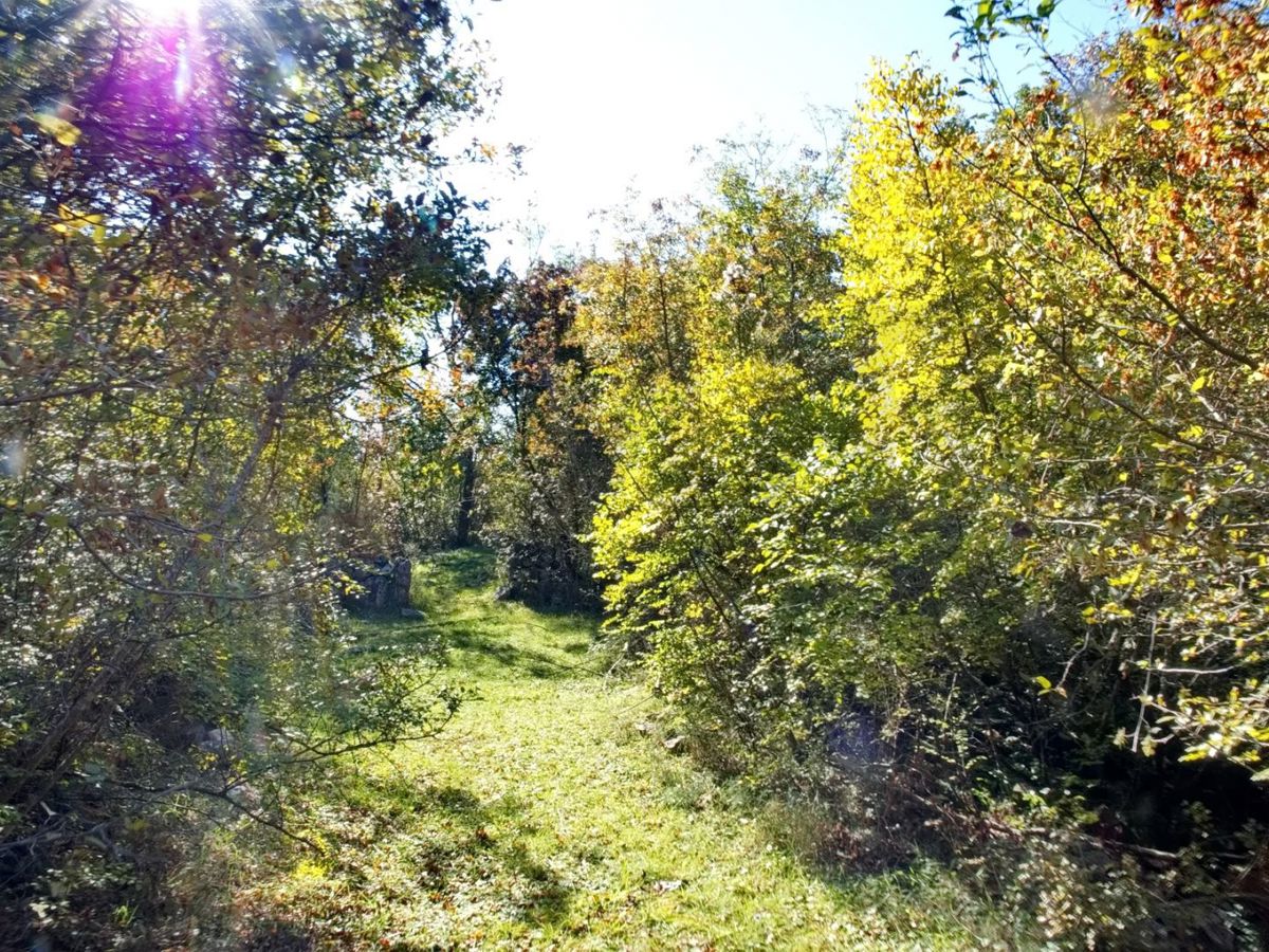 Dobrinj, Kras, kmetijsko zemljišče, blizu gradbenega območja!