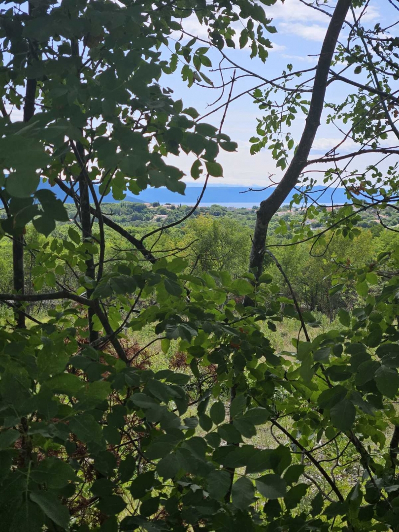 Rakalj, Marčana, 1.005m2