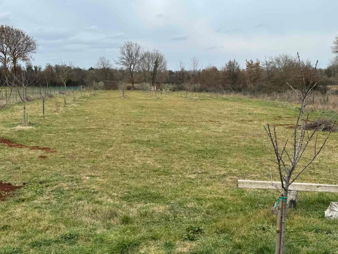 Loborika, Marčana, 3.025m2