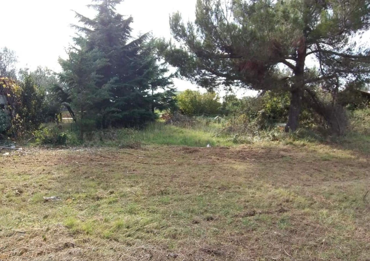 Peroj, Vodnjan, 650m2