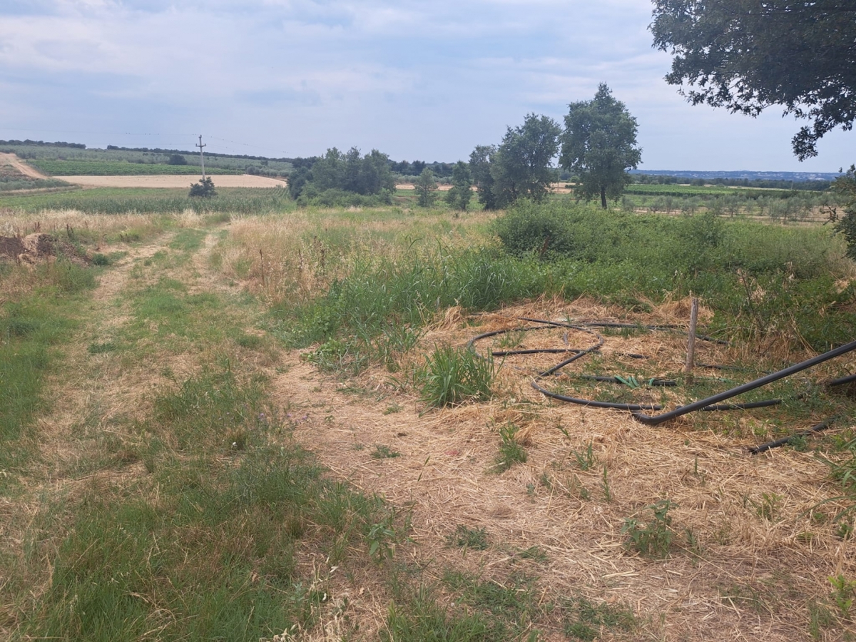 Rogovići, Kaštelir-Labinci, 927m2