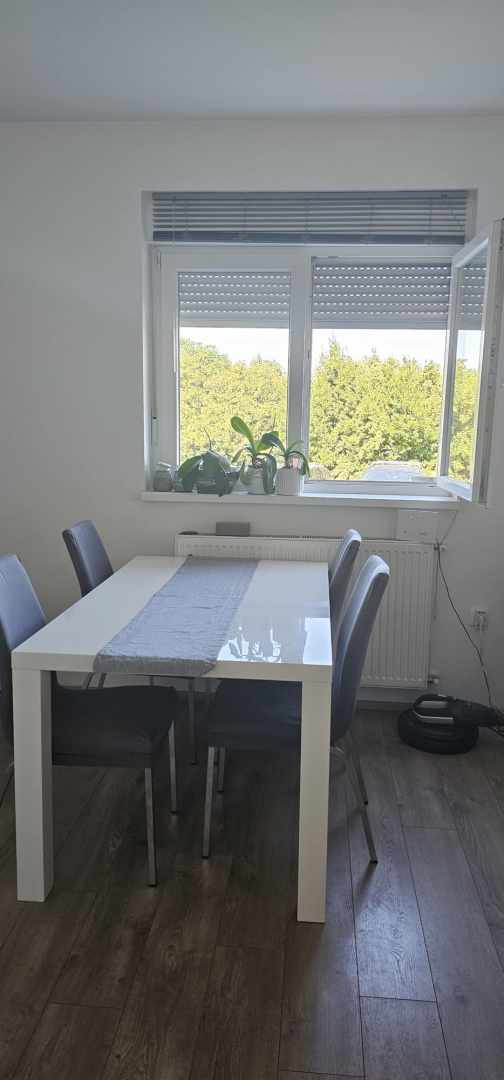 Kaštanjer, Pula, 101,50m2