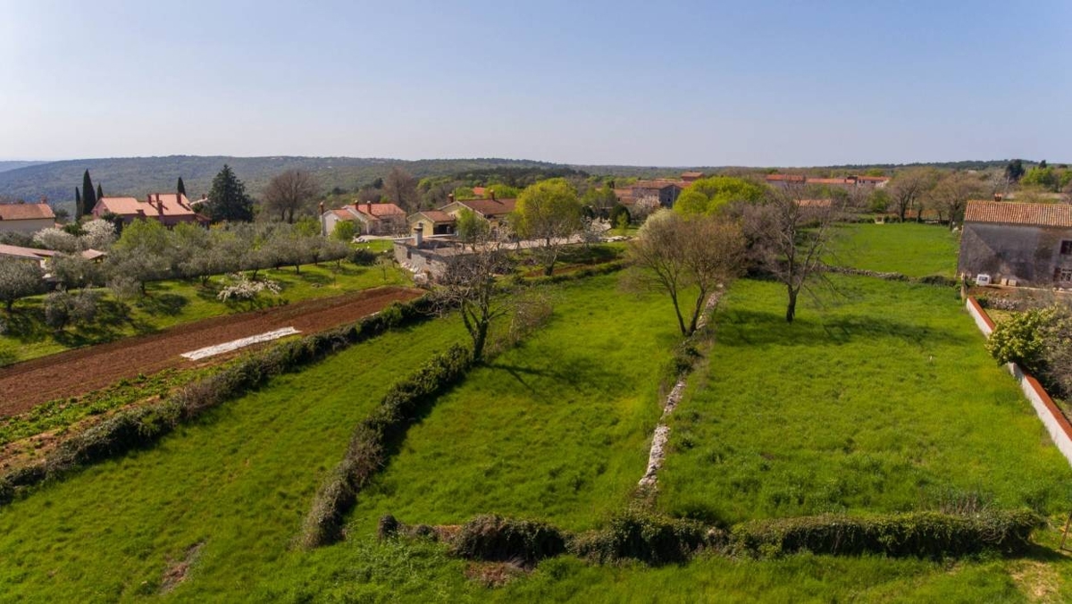 Puntera, Barban, 250m2