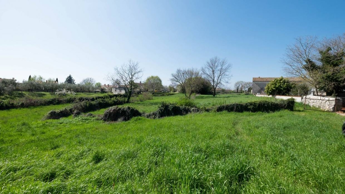 Puntera, Barban, 250m2