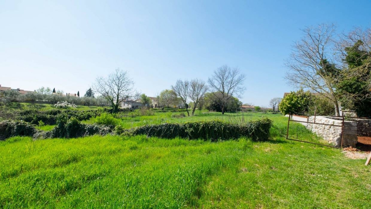 Puntera, Barban, 250m2