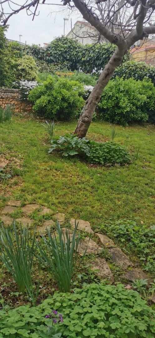 Kaštanjer, Pula, 110,99m2