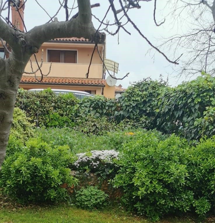 Kaštanjer, Pula, 110,99m2