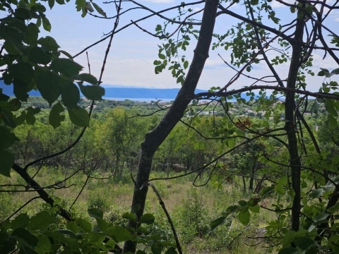 Rakalj, Marčana, 2.878m2