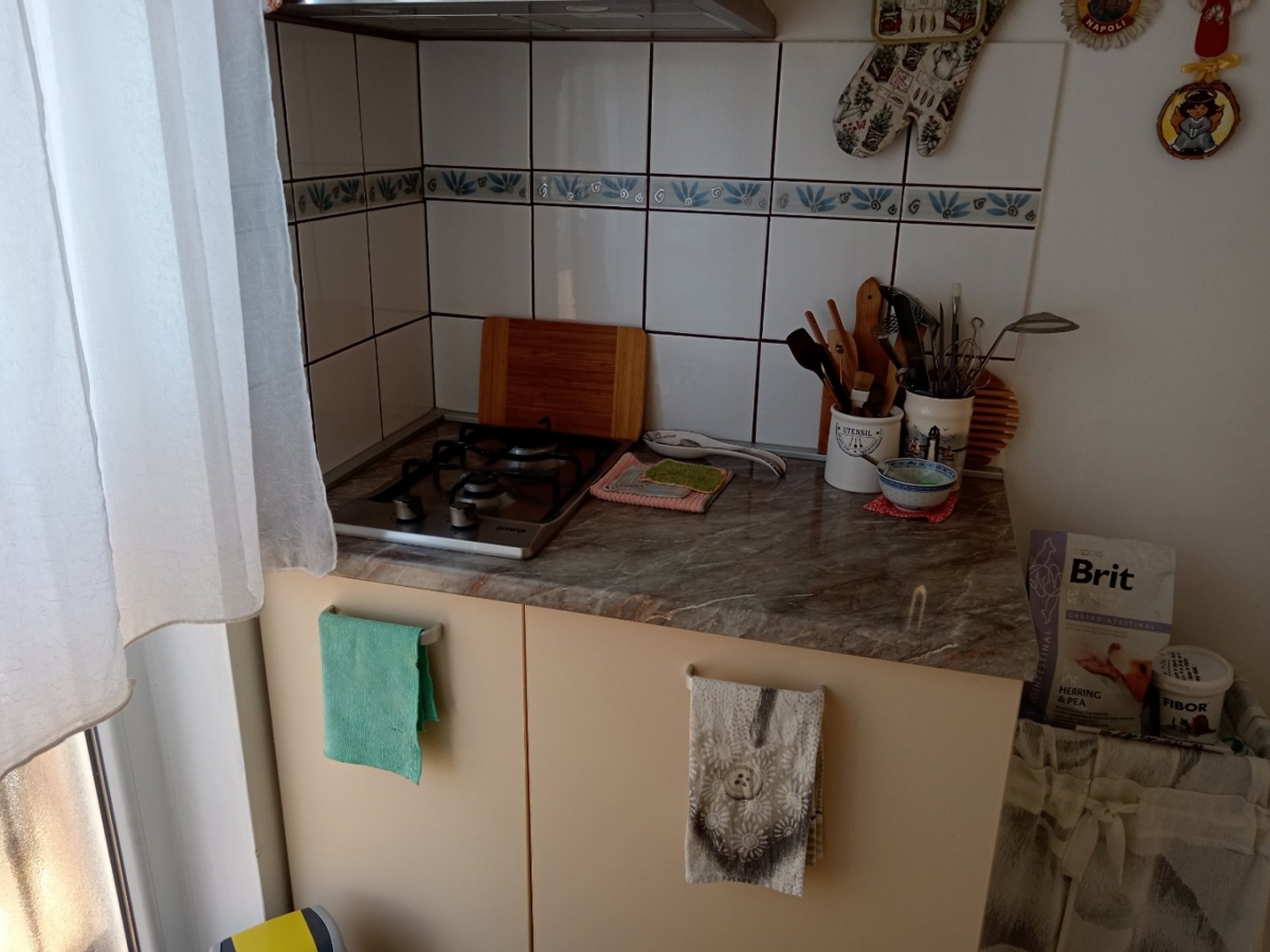 Vidikovac, Pula, 50,55m2