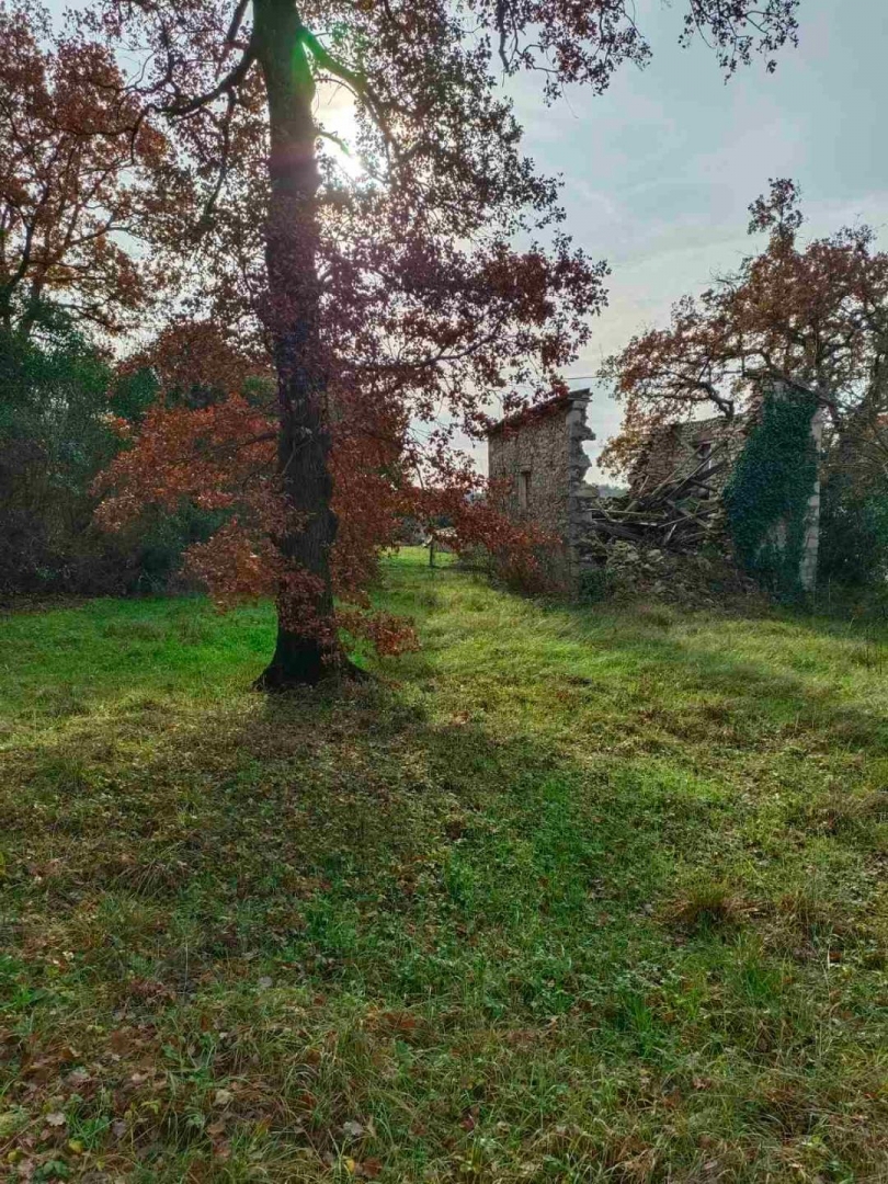 Juricani, Umag, 4.278m2