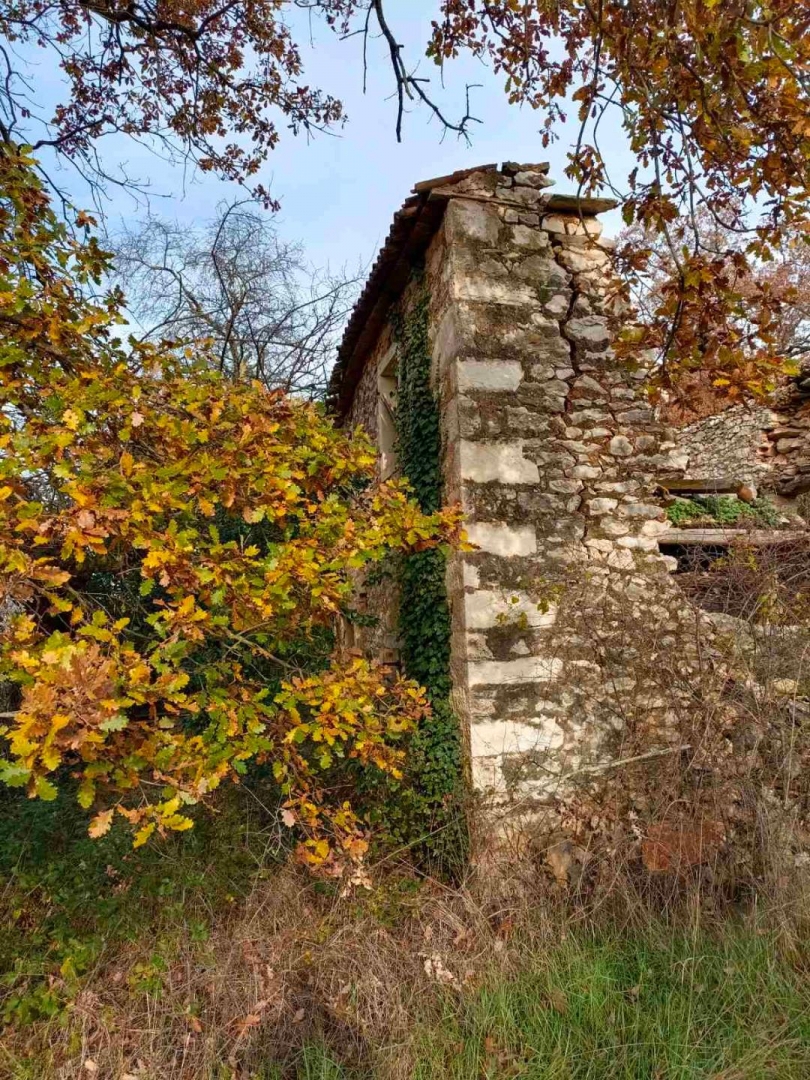 Juricani, Umag, 4.278m2