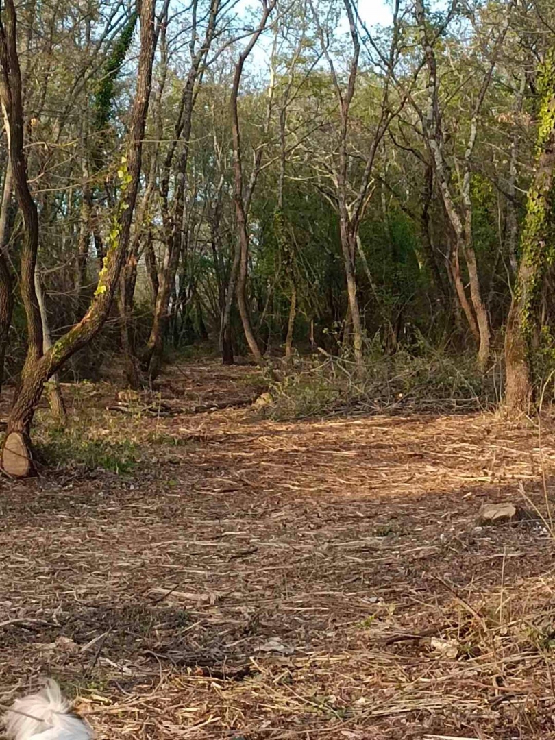 Juricani, Umag, 4.278m2