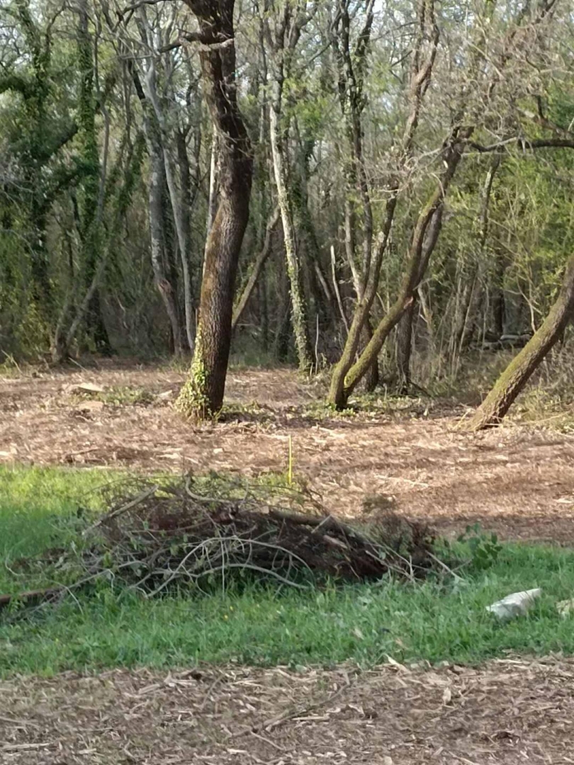 Juricani, Umag, 4.278m2