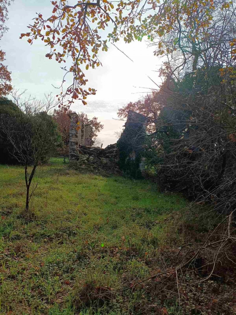 Juricani, Umag, 4.278m2