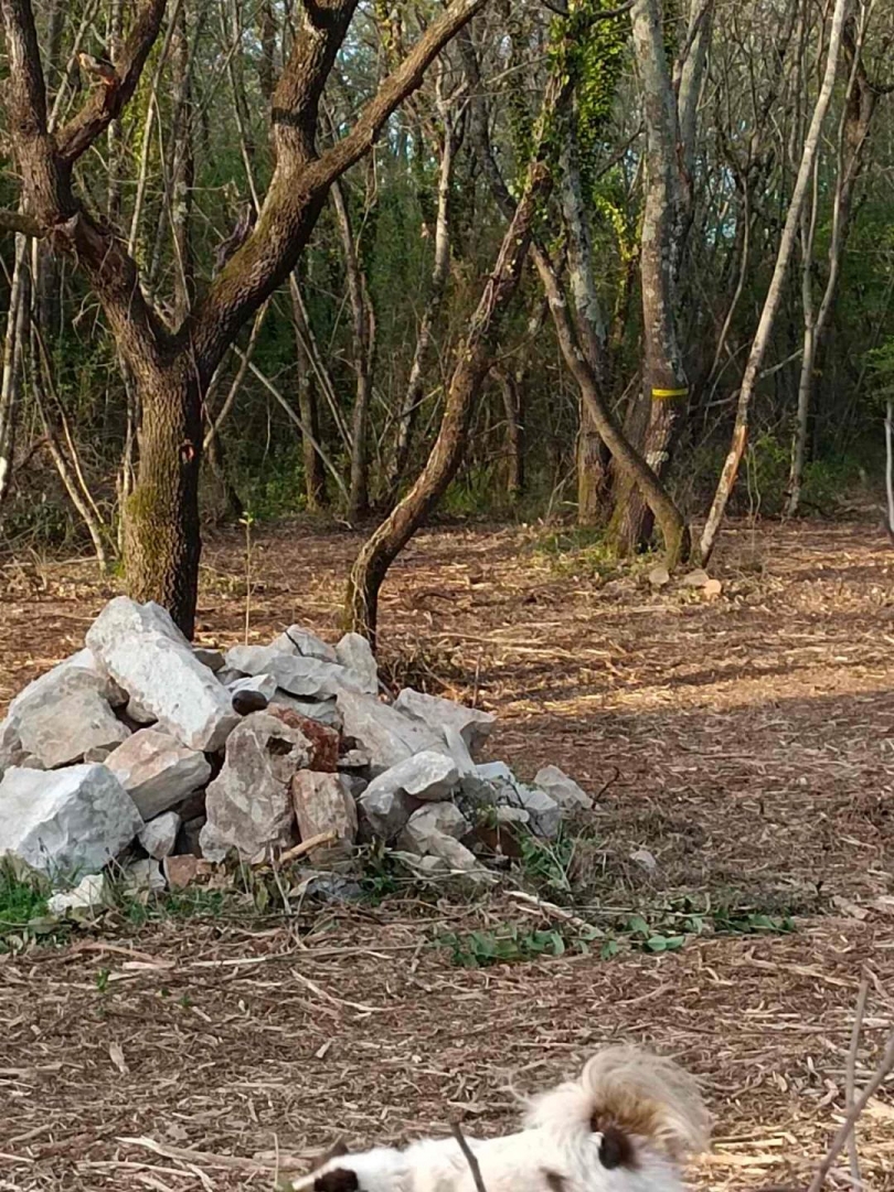 Juricani, Umag, 4.278m2