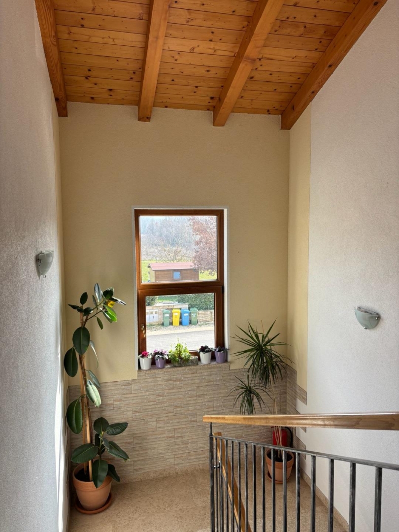 Dračevac, Poreč, 400m2