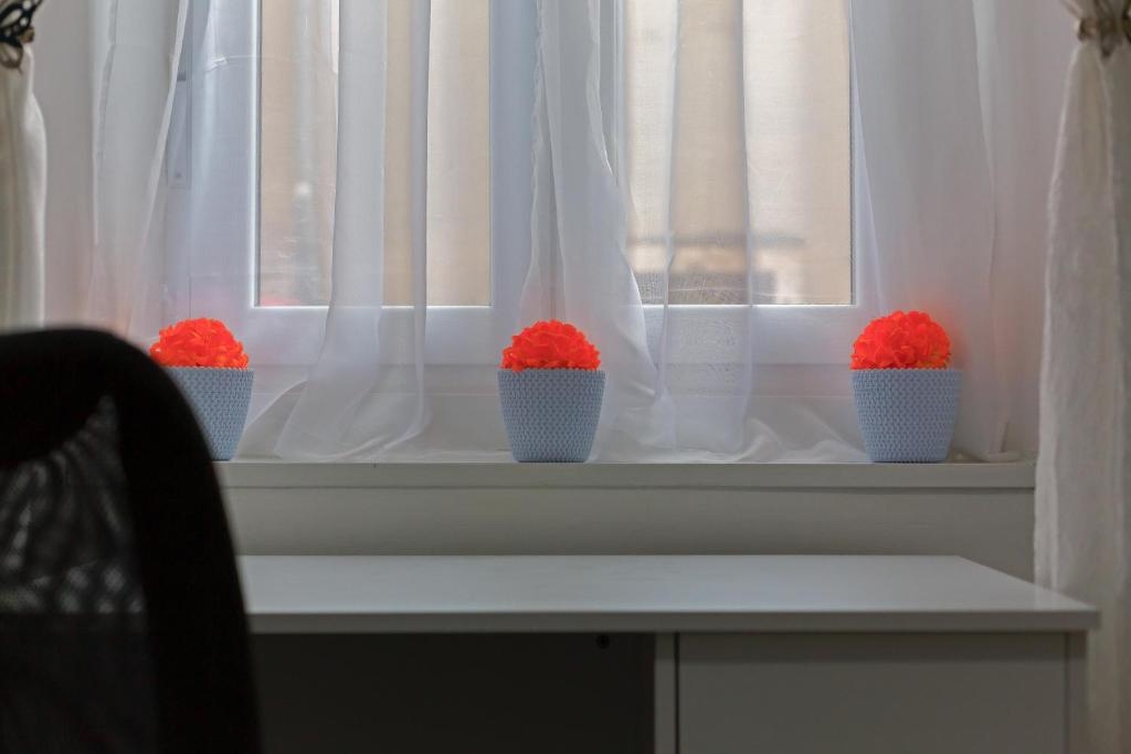 Centar, Pula, 40,97m2