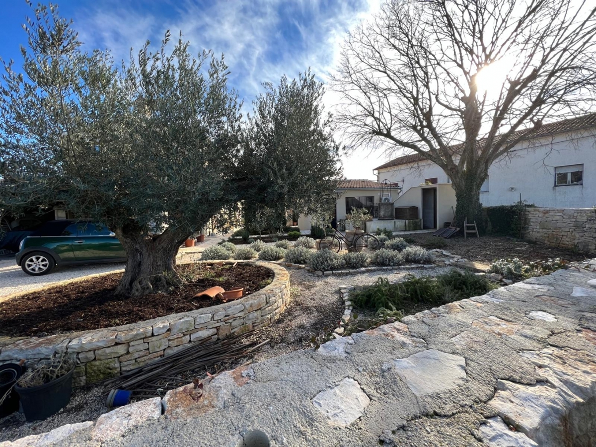 Svetvinčenat, 200m2