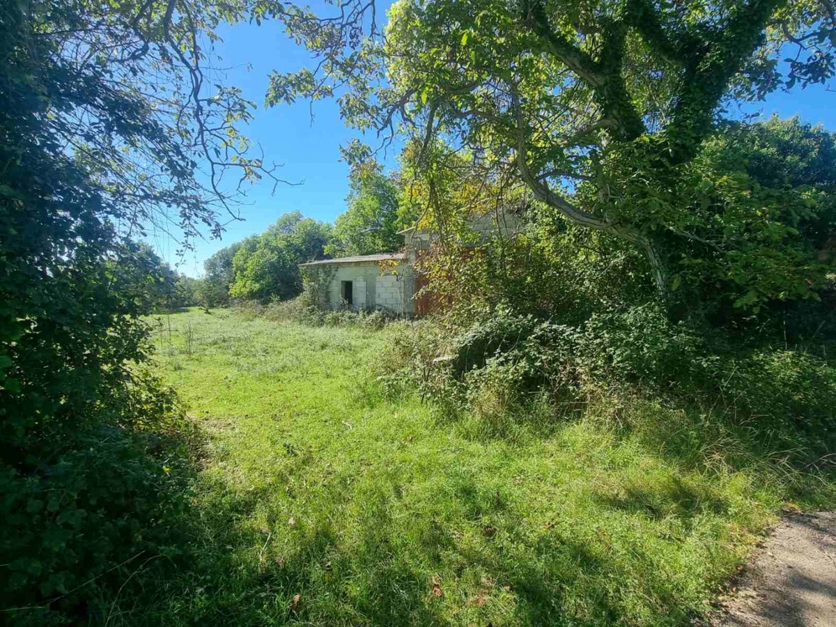 Svetvinčenat, 115m2