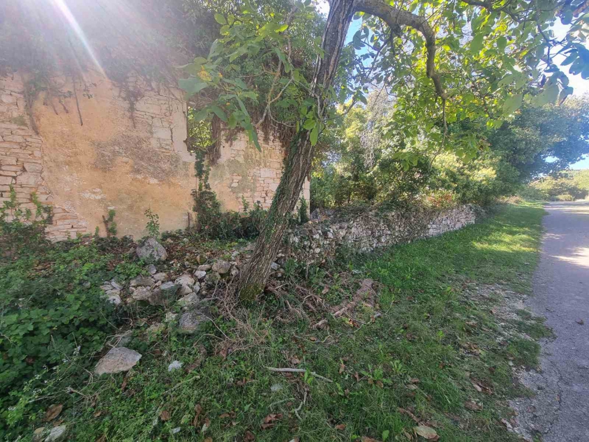 Svetvinčenat, 115m2