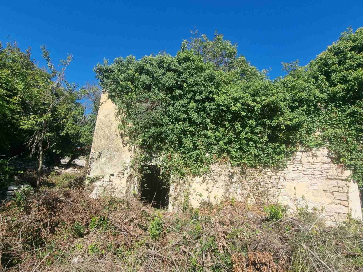 Svetvinčenat, 115m2