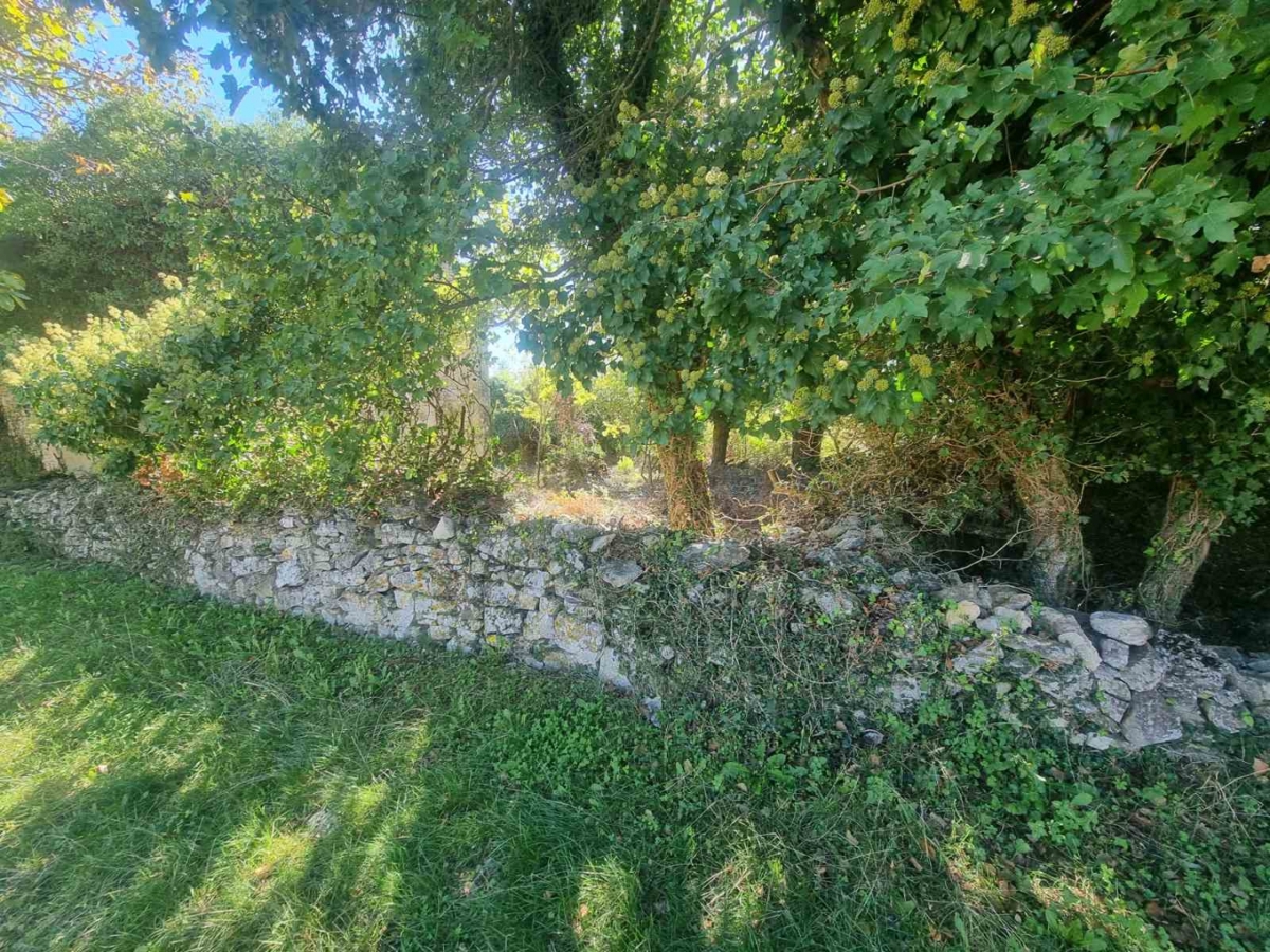 Svetvinčenat, 115m2