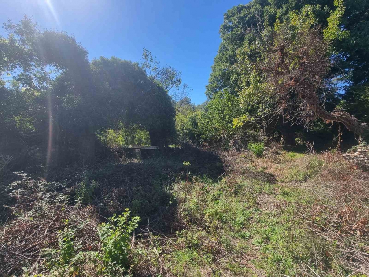 Svetvinčenat, 115m2