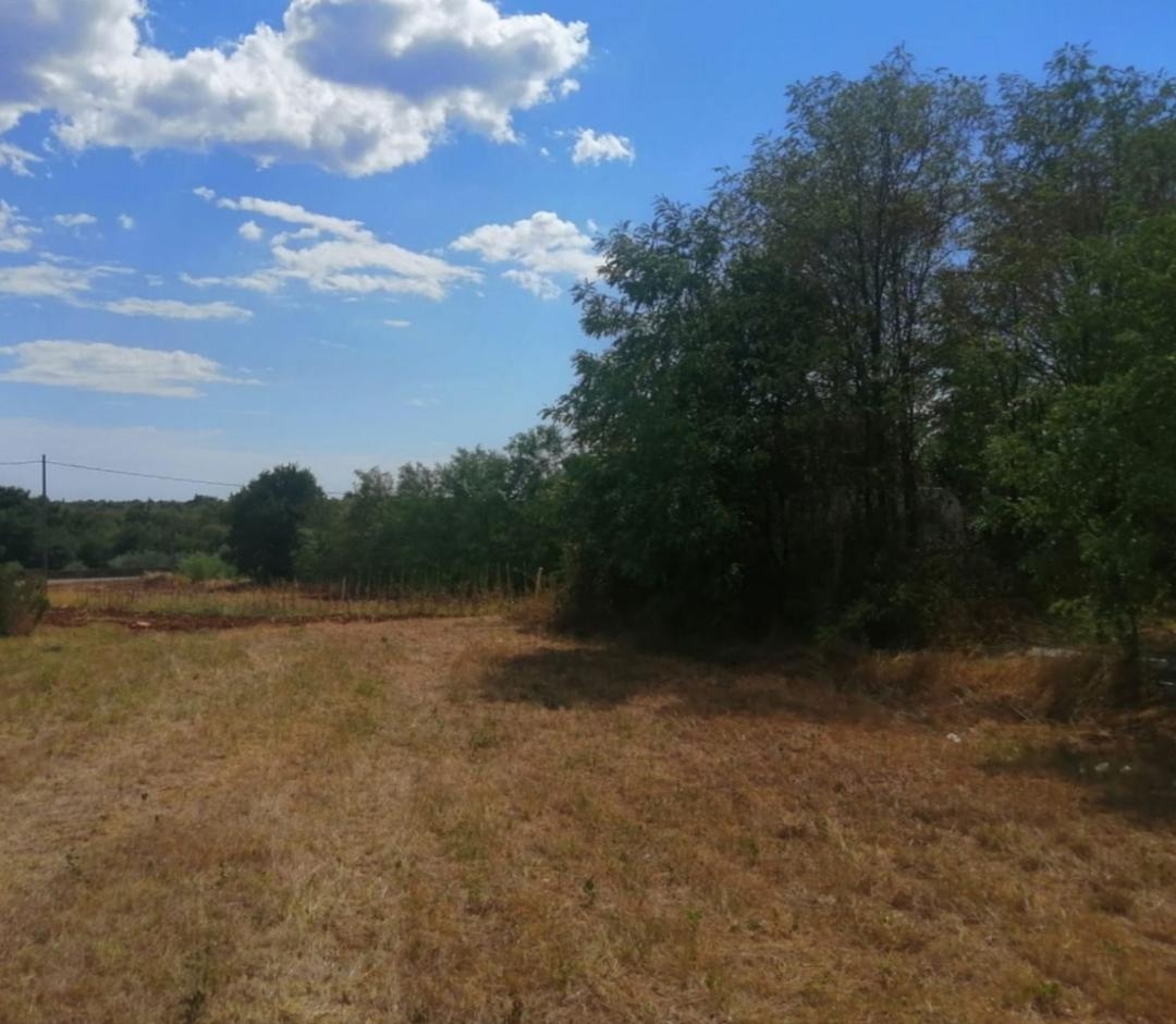 Žbandaj, Poreč, 3.040m2