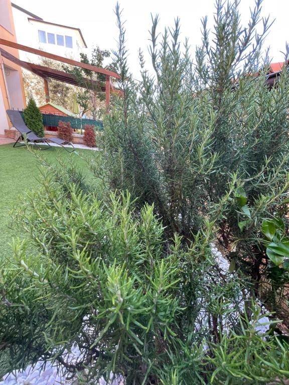 Peroj, Vodnjan, 48,29m2