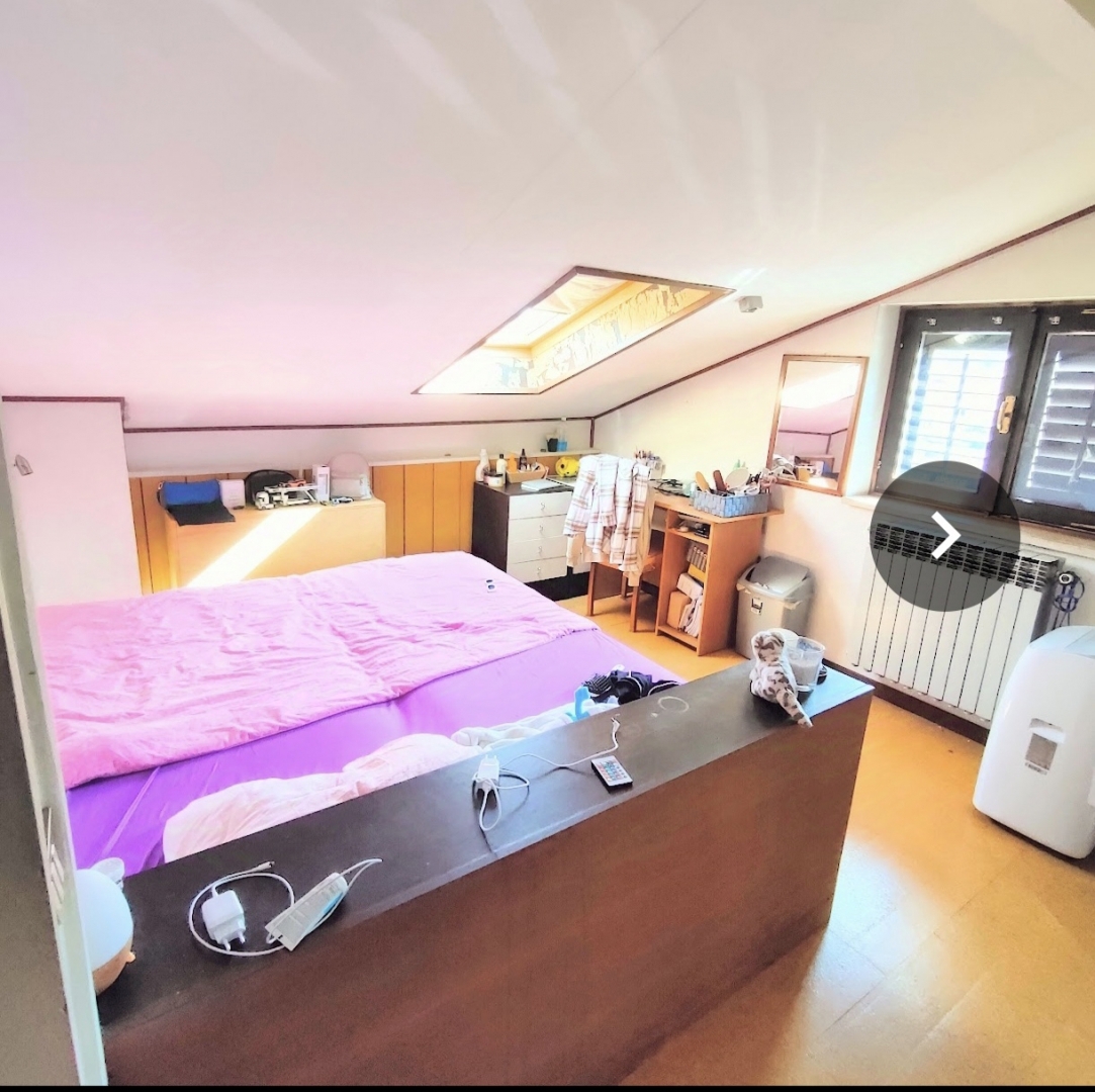 Stari Pazin, Pazin, 244,61m2