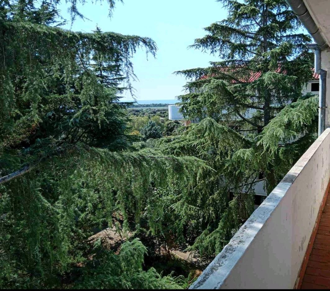 Barbariga, Vodnjan, 29m2