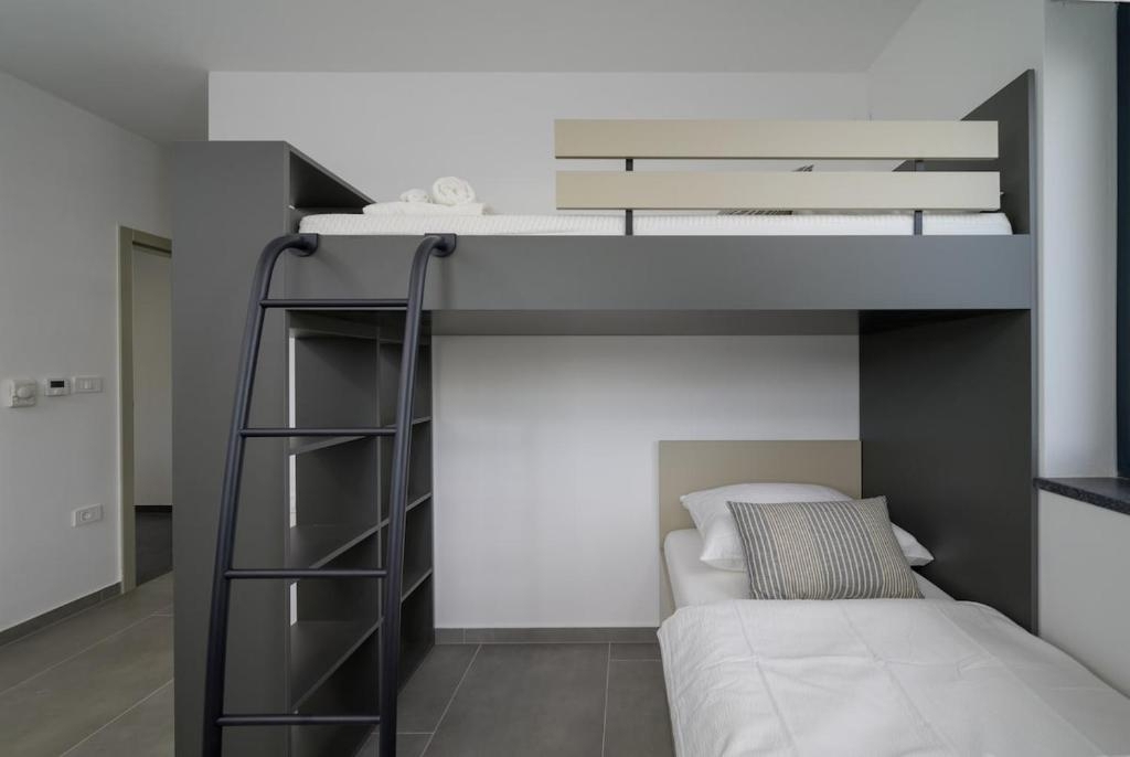 Svetvinčenat, 244m2