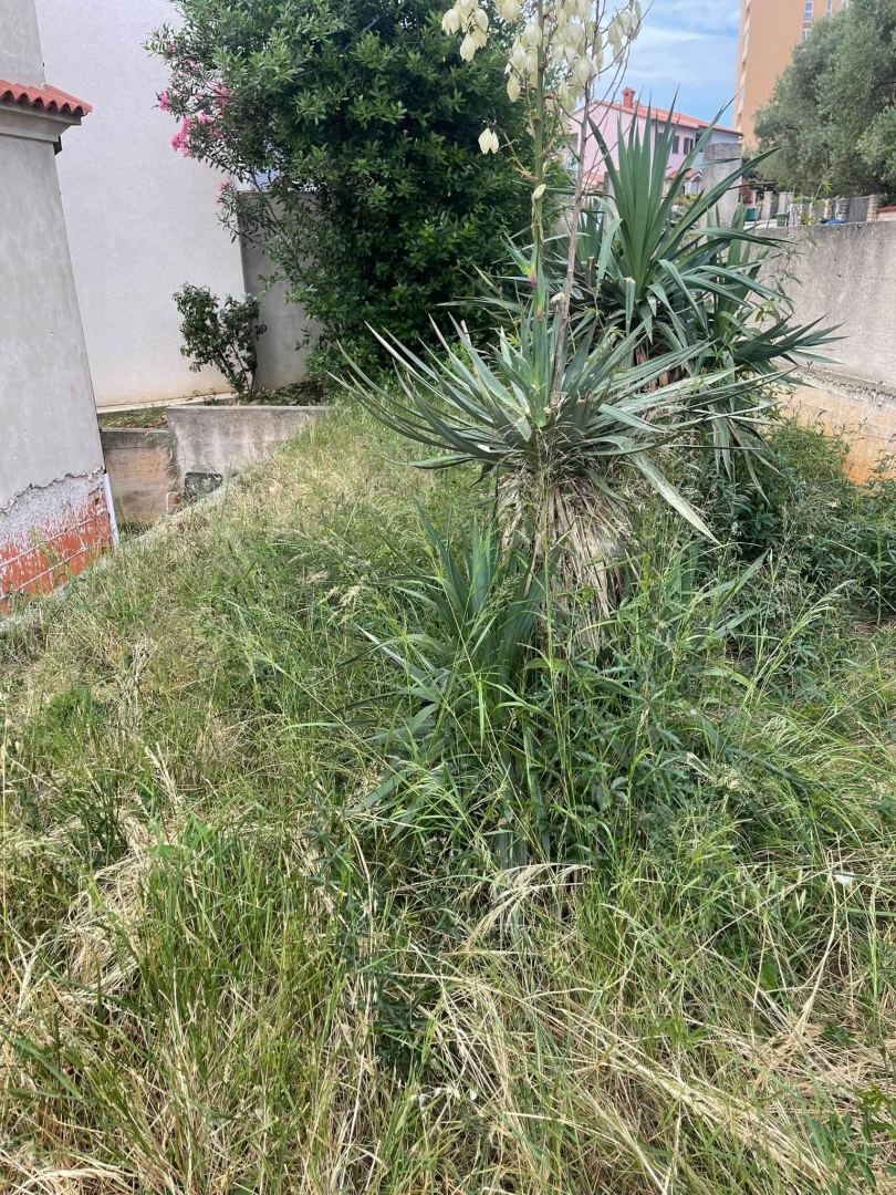 Vidikovac, Pula, 60,23m2