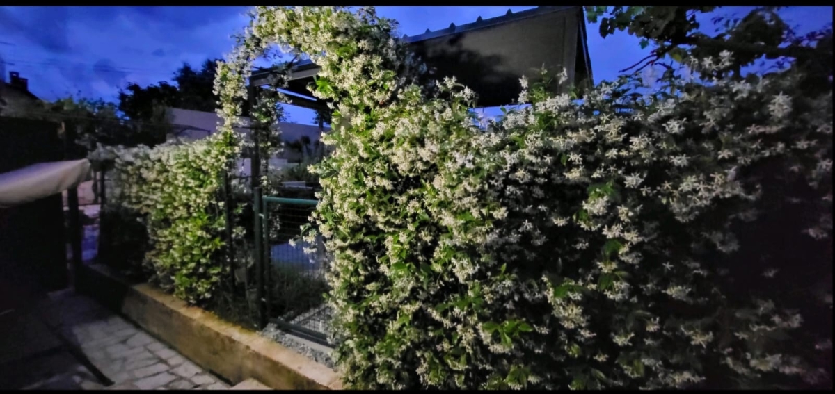 Centar, Pula, 151,74m2